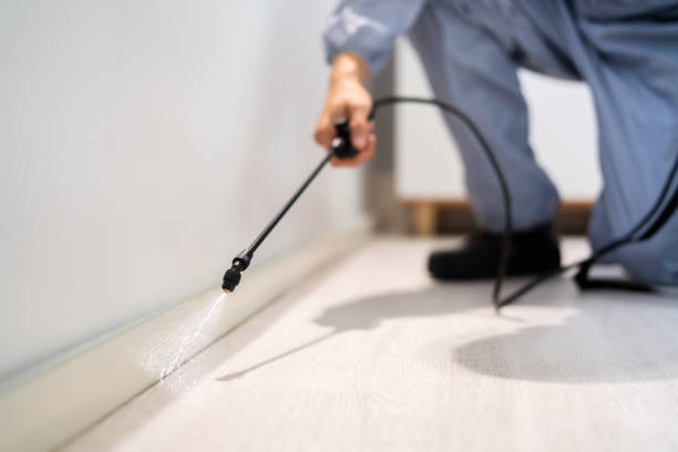 Flea Control Services in Holly Hill, SC
