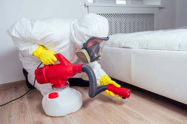 Professional Pest Control in Holly Hill, SC
