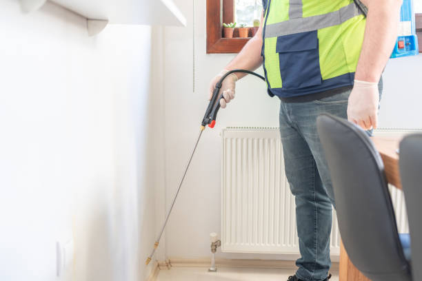 Best Affordable Pest Control Services  in Holly Hill, SC